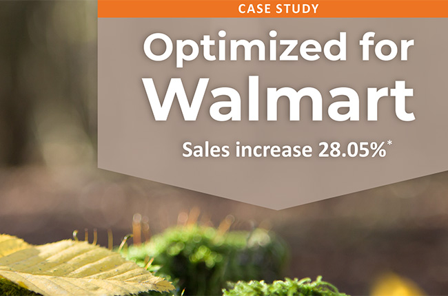 Expanding and optimization for Walmart Marketplace Case Study