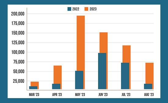 Expanding into new markets with a strong brand identity